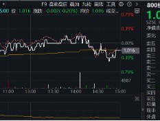 震荡行情延续，关注“减震”资产——红利低波！800红利低波ETF（159355）显韧性