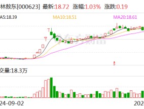 吉林敖东：控股子公司获得苯磺酸氨氯地平片药品注册证书