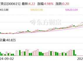 ST美谷：法院决定对公司启动预重整